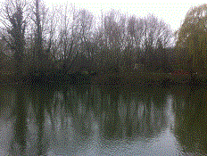 PEG 62 Pictures